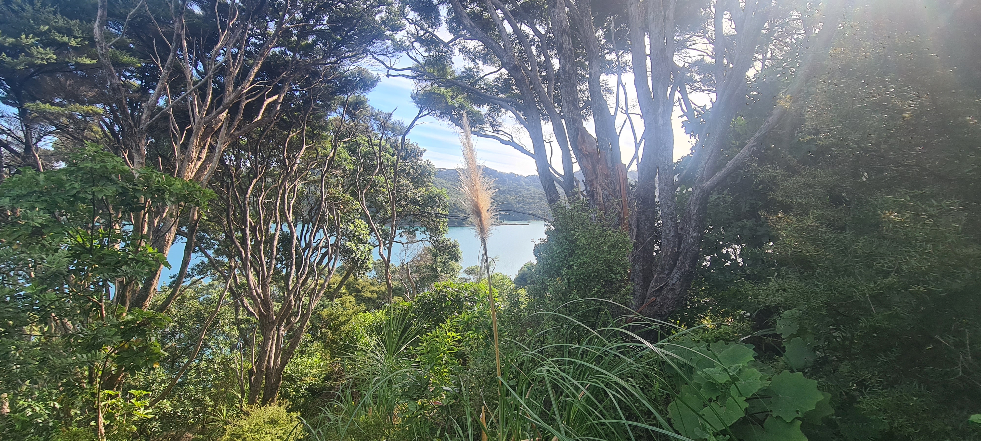 781 Whangaparapara Road, Great Barrier Island (Aotea Island), Auckland, 0 habitaciones, 0 baños, Section