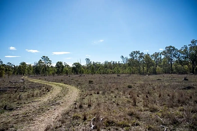 Adres Weerhou, Thanes Creek, QLD 4370, 0 slaapkamers, 0 badkamers, Lifestyle Property
