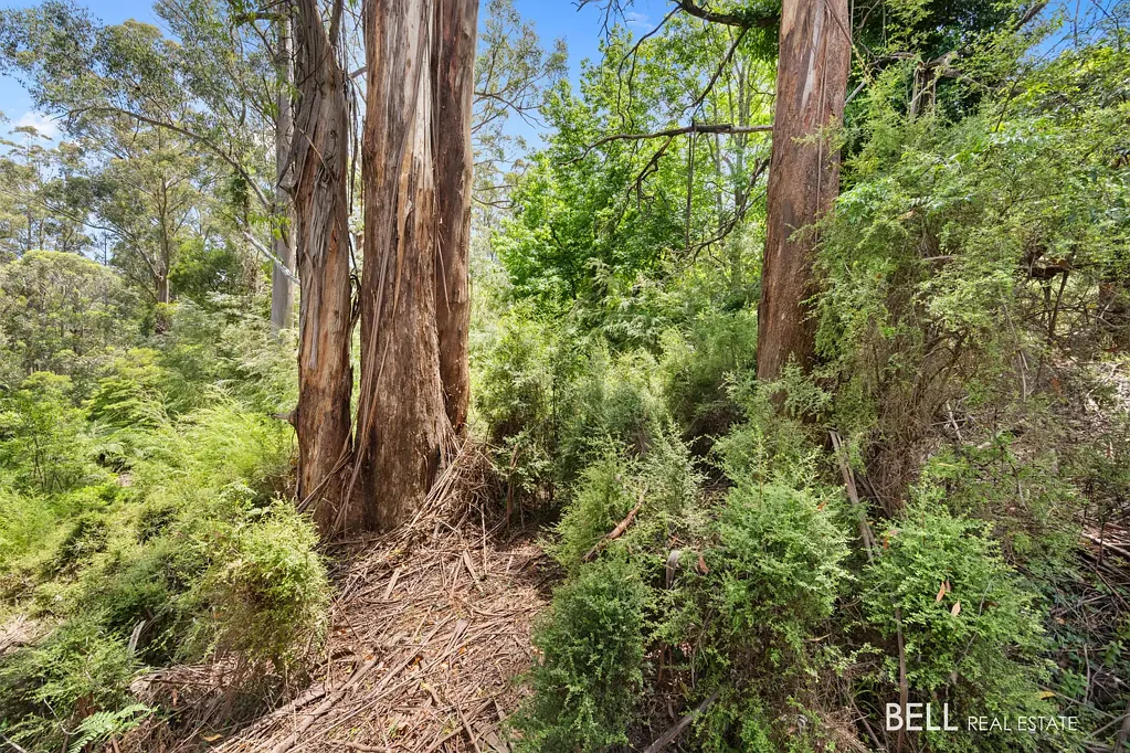 Warburton A Warburton bush block with an abundance of nature!