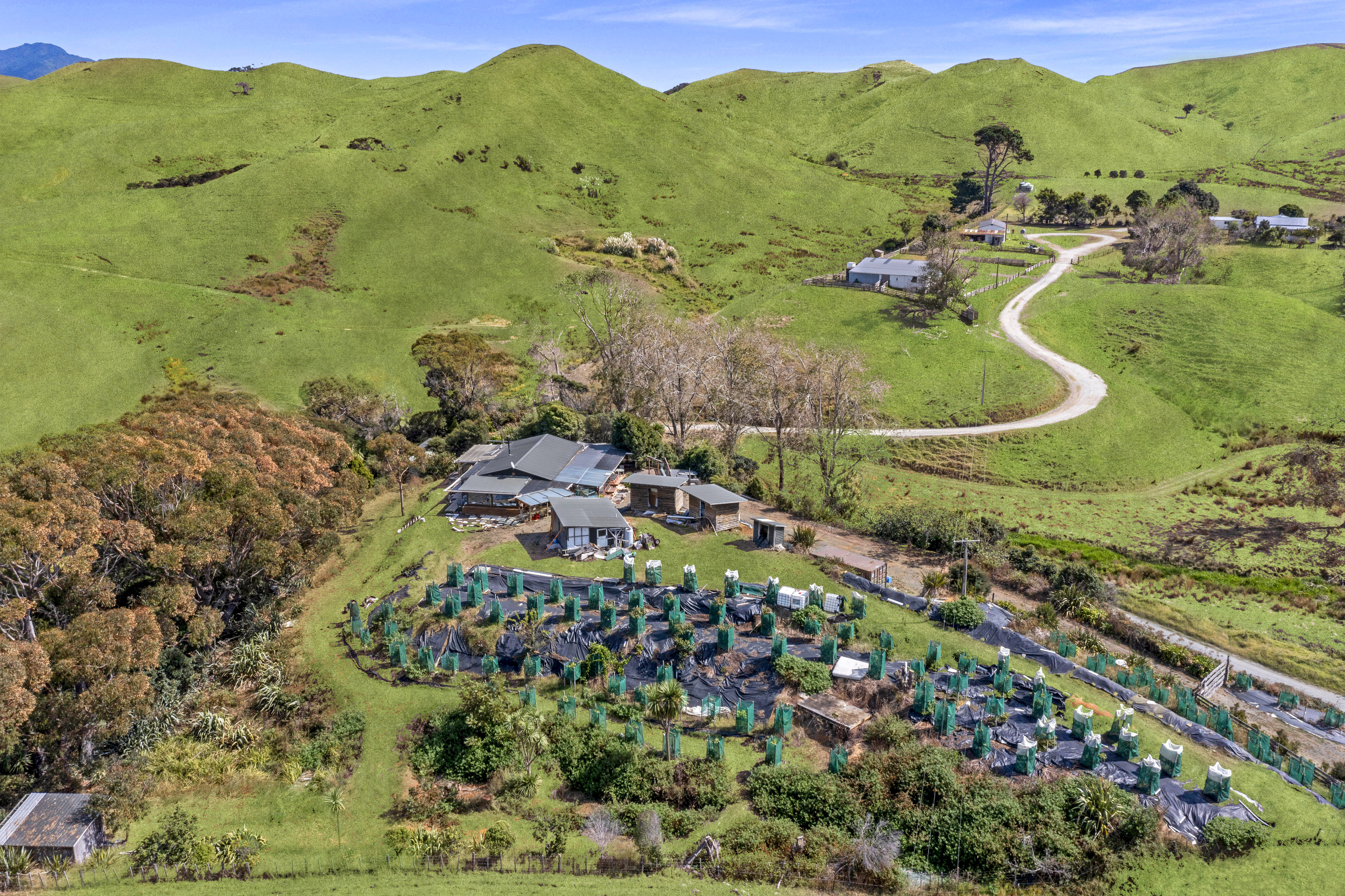 207 Te Akau Wharf Road, Te Akau, Waikato, 1 침실, 1 욕실, Lifestyle Property