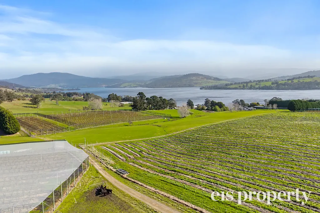 Lower Wattle Grove Cherry farm located in Pristine region of Tasmania