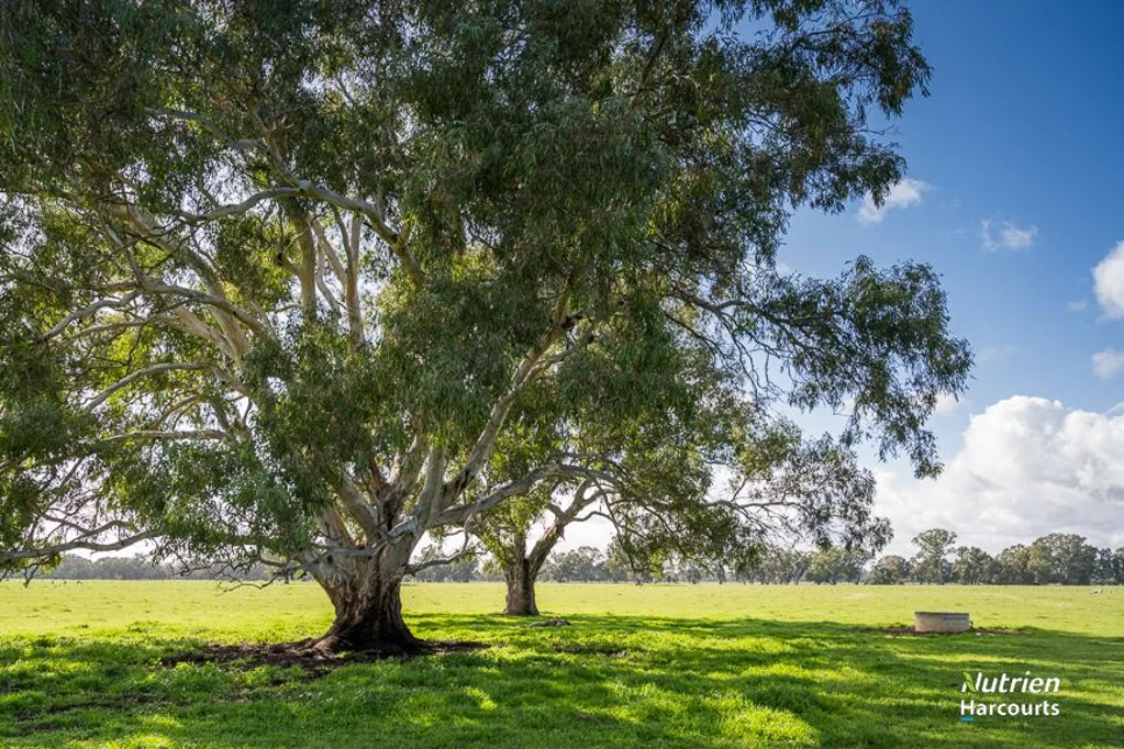 Benalla "Melia Rise" - Prime Farming and Lifestyle Opportunity