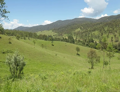 LOT 46 Rocky River Road, Rocky River, Tamworth, 0 Schlafzimmer, 0 Badezimmer, Lifestyle Property