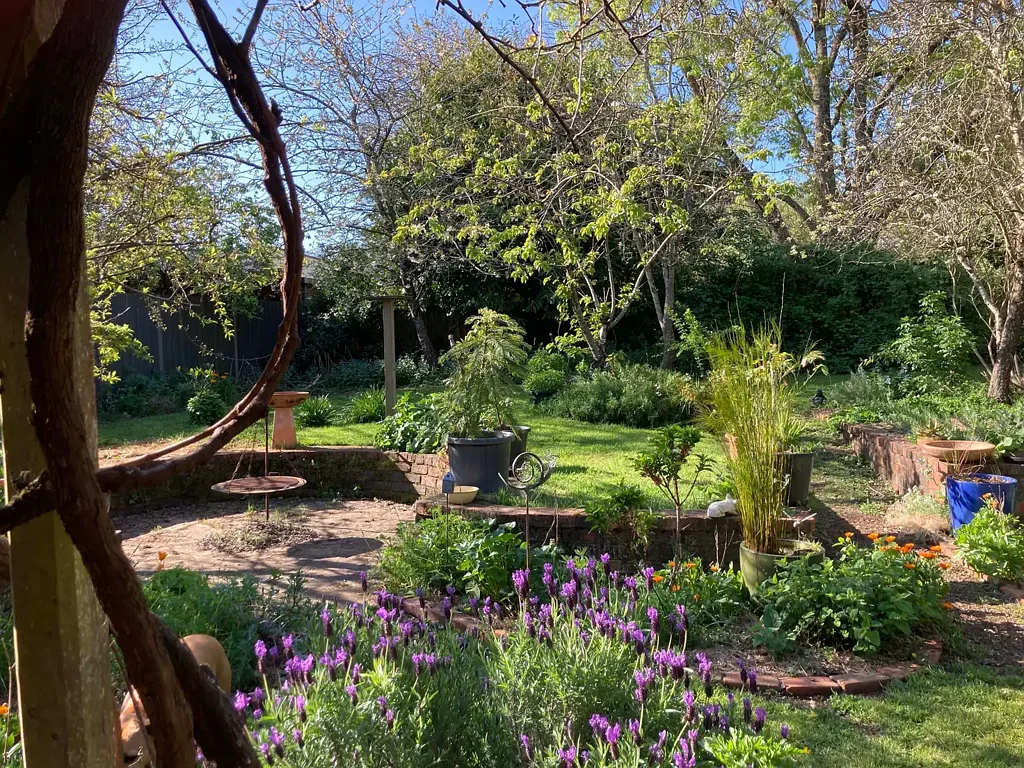 Daylesford 3 Bedroom Comfy Family Home - a Hidden Gem for designed and established EcoLiving - location, excellent soils, flexibility, natural materials, places and spaces