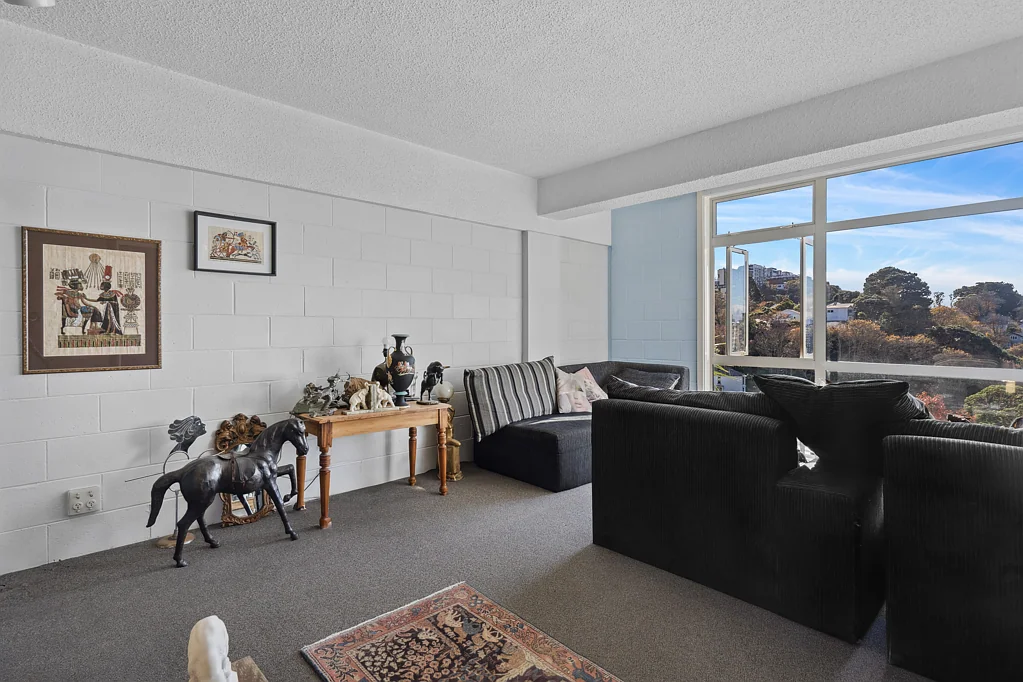 1C/20 Maarama Crescent, Aro Valley, Wellington