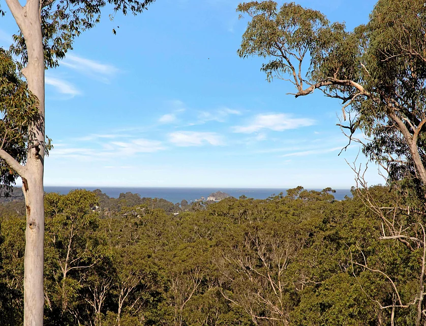 Lot 2 Clyde Road, North Batemans Bay, South Coast, 1部屋, 1バスルーム, House