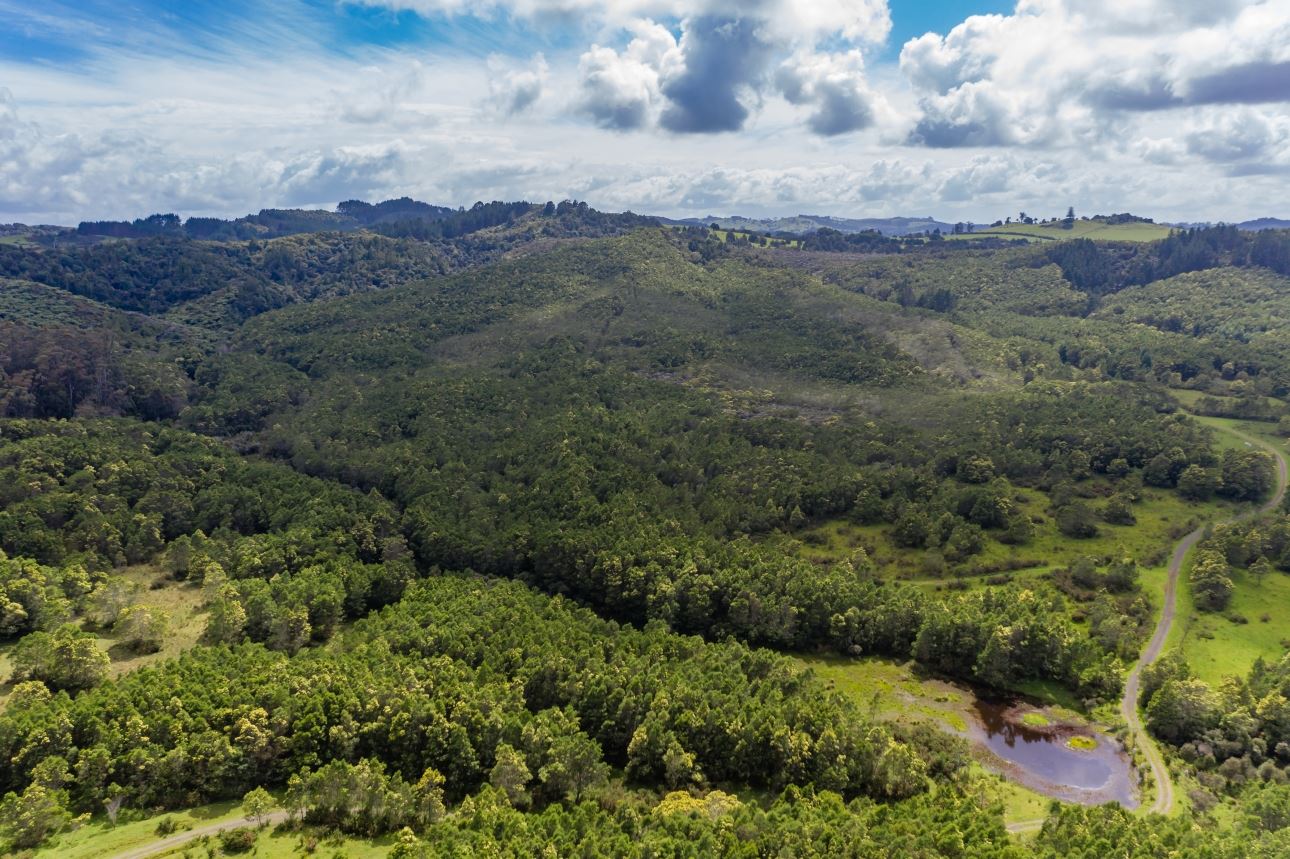 80a Jordan Road, Kaikohe, Far North, 2 rūma, 1 rūma horoi, Forestry