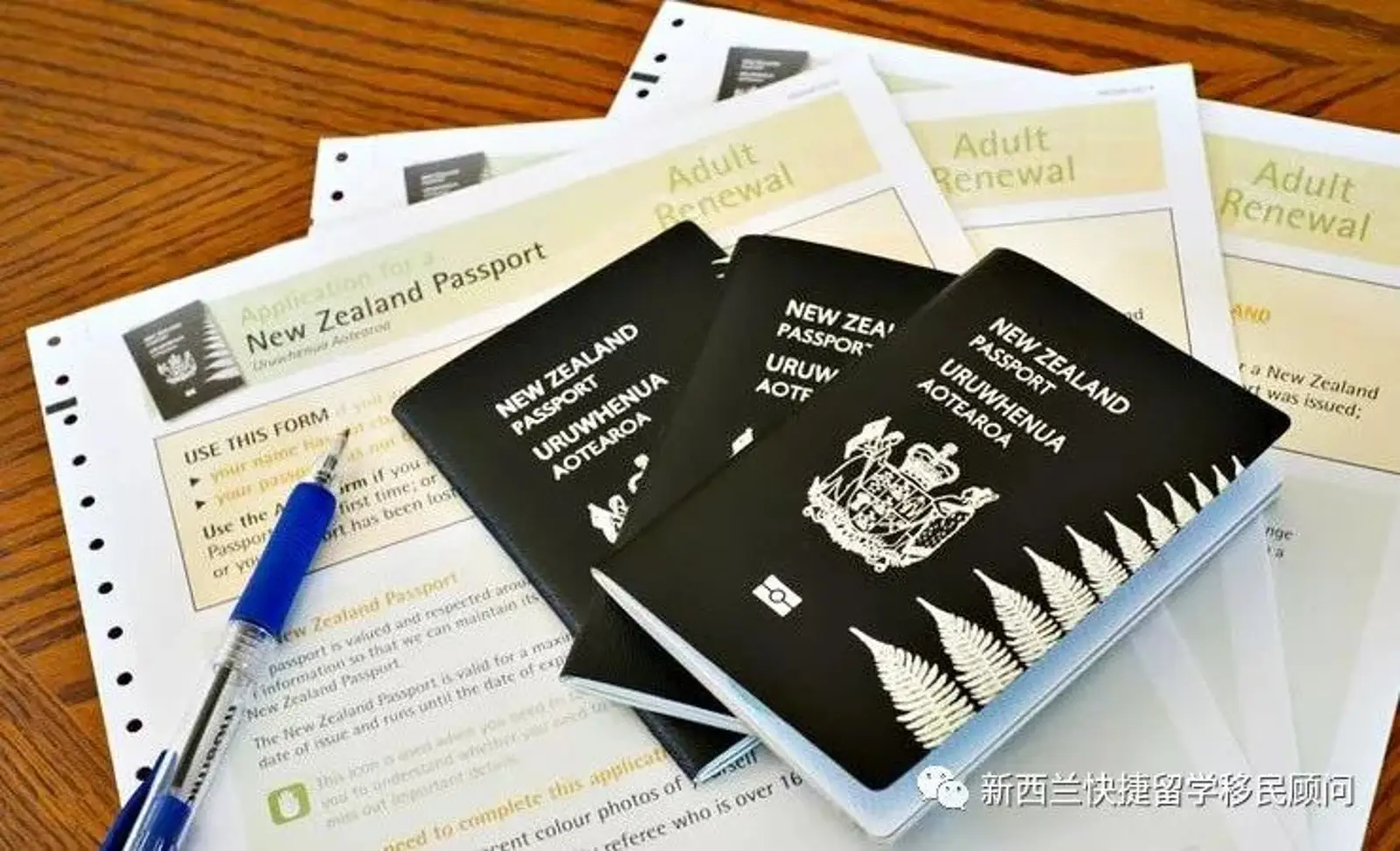 签证那些事|新西兰过渡签证在学生签证，旅游签证，工作签证转换过程中的重要性！