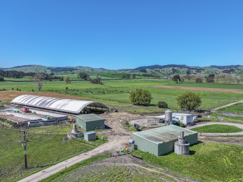 45 Dalziel Road, Waerenga, Waikato, 4房, 0浴, Dairy