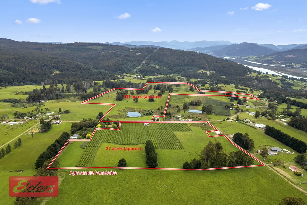 Franklin  2 Titles - Versatile 129 Acres (approx.) with Established Apple Orchard