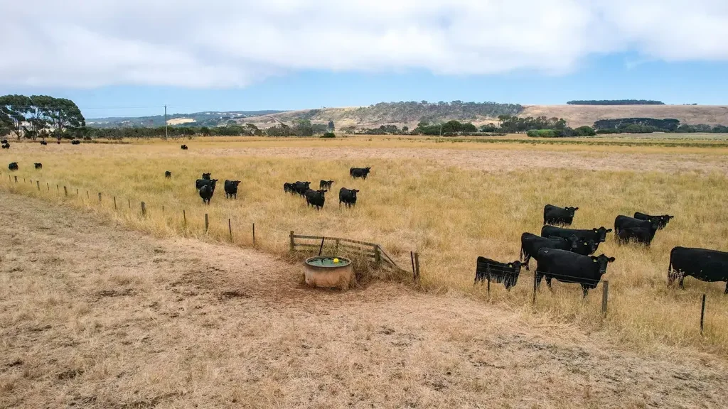Narrawong  Coastal Lifestyle Grazing at Narrawong