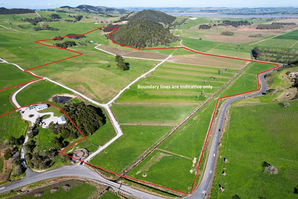 Dargaville Prime Grazing or Cropping Opportunity