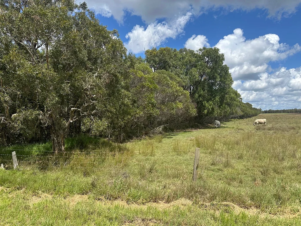 133 - 257 Vanderwolf Road, Bunya Creek, QLD 4655