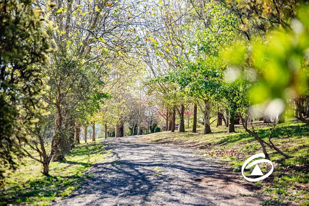 82 Beaumont Road, Berwick, VIC 3806