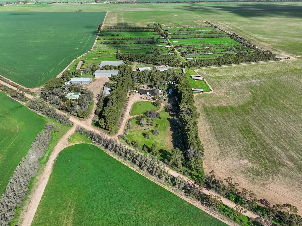 382 Rodda Road, Boors Plain, SA 5554