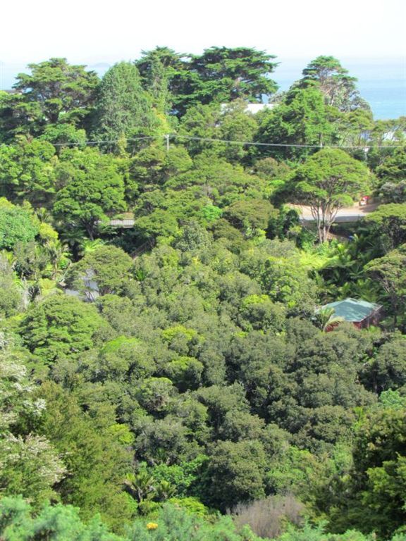 Hauraki Gulf Islands