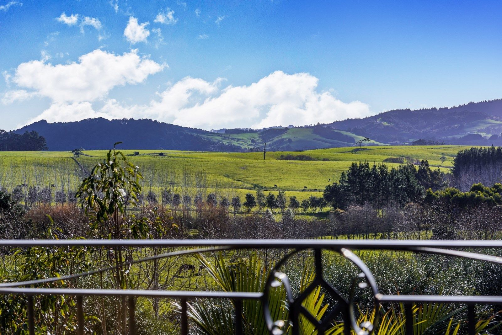 307 Whitehills Road, Waitoki, Auckland - Rodney, 4 habitaciones, 2 baños