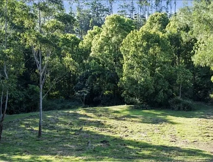 50 Basil Road, Nimbin, NSW 2480, 0 rūma, 0 rūma horoi, Section