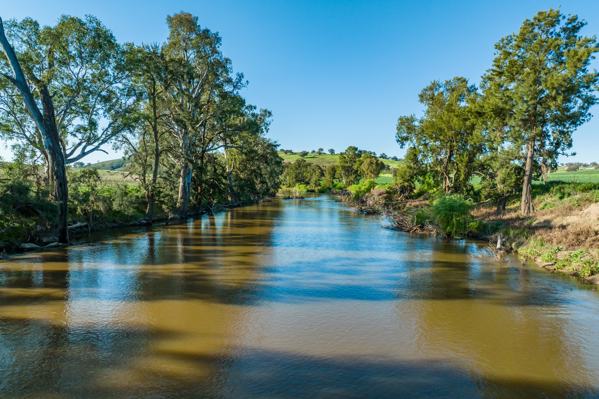 1 CUDGELO LANE, COWRA NSW 2794, 0房, 0浴, Lifestyle Property