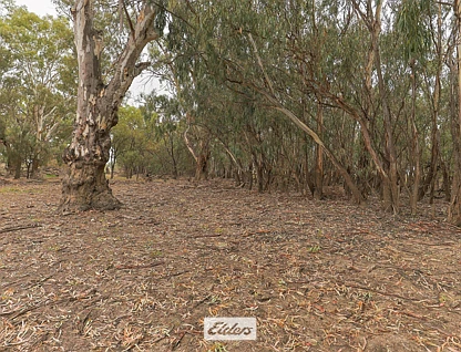 Lot 9 Cudmore Road, Wentworth, Murray, 0 રૂમ, 0 બાથરૂમ, Lifestyle Property