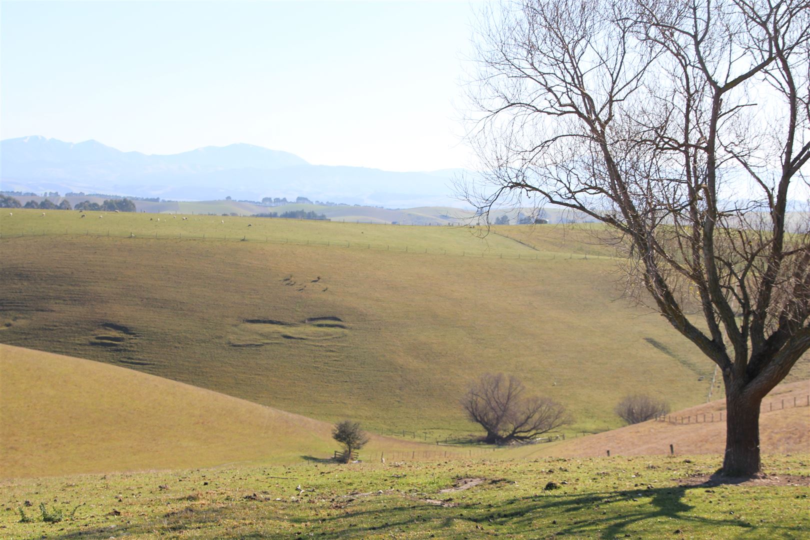 632 Rolling Ridges Road, Levels Valley, Timaru, 0 rūma, 1 rūma horoi