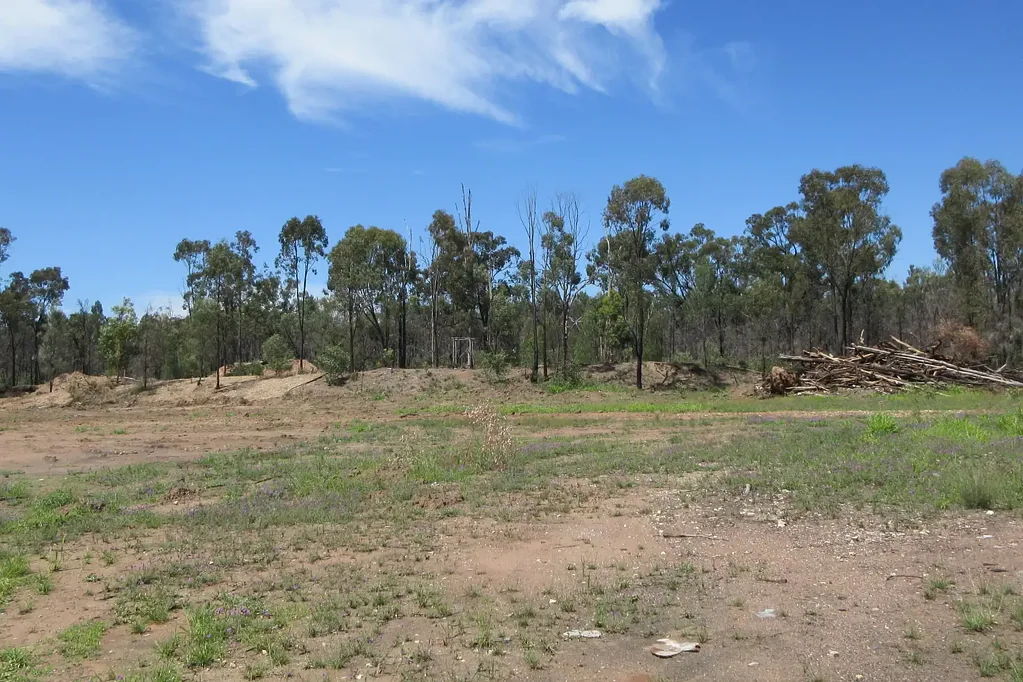 Tara All the yard yakka has been done!