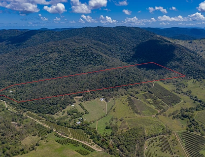 680 Saltwater Creek Road, Palm Grove, Mackay, 0 Schlafzimmer, 0 Badezimmer, Section
