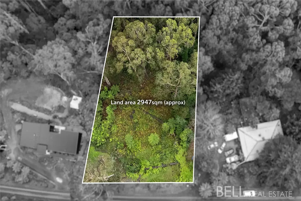 Kalorama Where the Forest Becomes Your Backyard