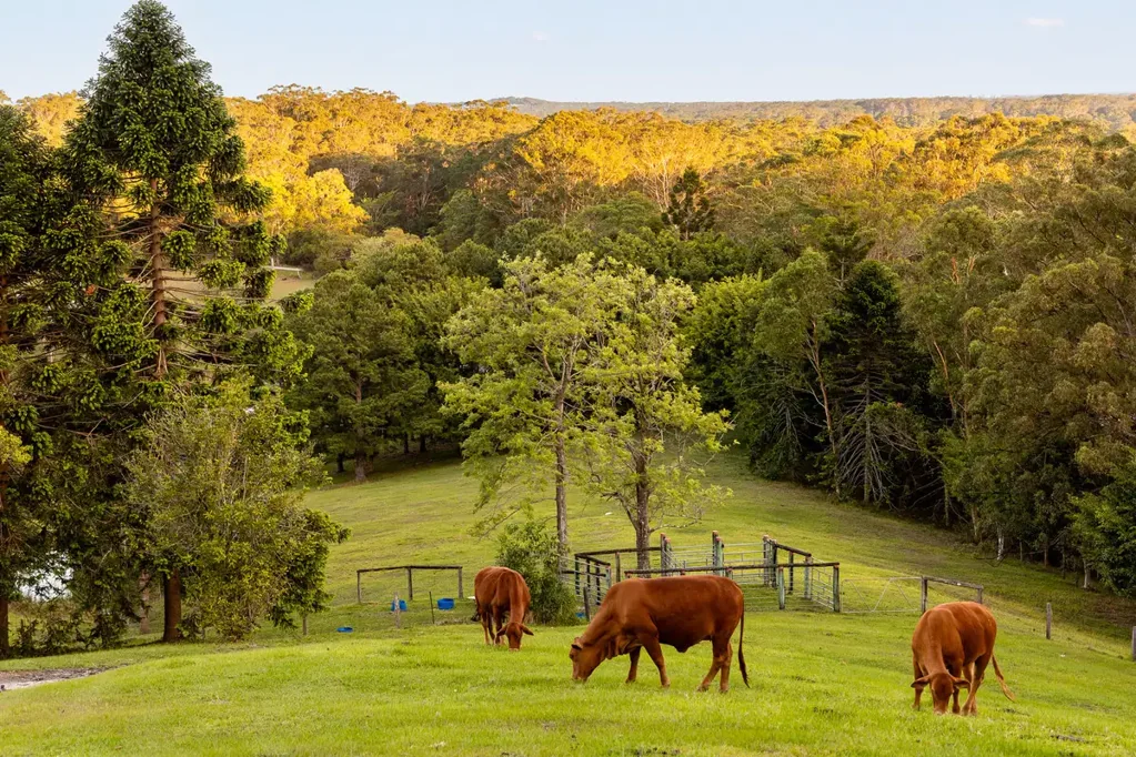 Glenview 4Zimmer Country Retreat on 22.5 Acres - World Class Panoramic Coastal Views
