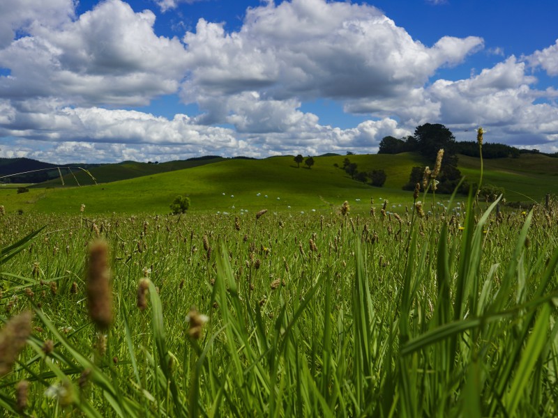 2876c State Highway 2, Waikato, 0 침실, 0 욕실