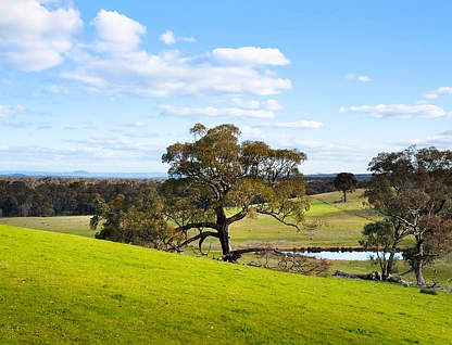 149 Davies Road, Walmer, VIC 3463, 0房, 0浴, 建地