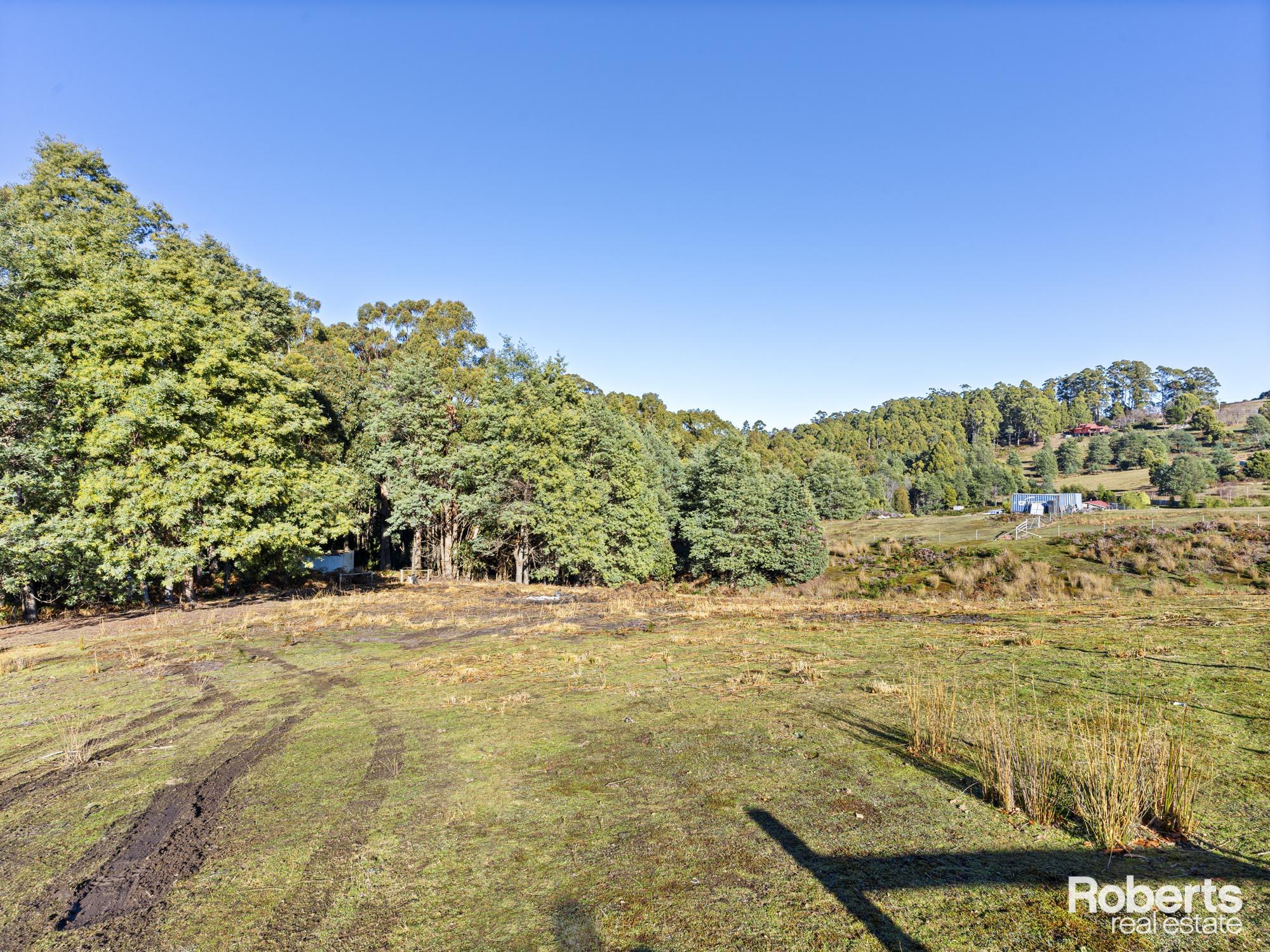 44 ROOPE RD, LOWER BARRINGTON TAS 7306, 0 Kuwarto, 0 Banyo, Section