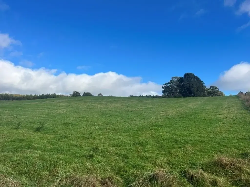 Mount Hicks  Farmlet at Mount Hicks