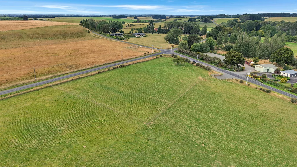Feilding Your Colyton canvas