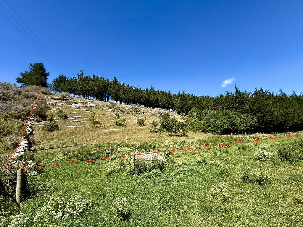 Kakanui  Paddock, Forest and Stream.