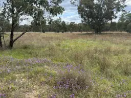 93 Fairford Road, Warialda