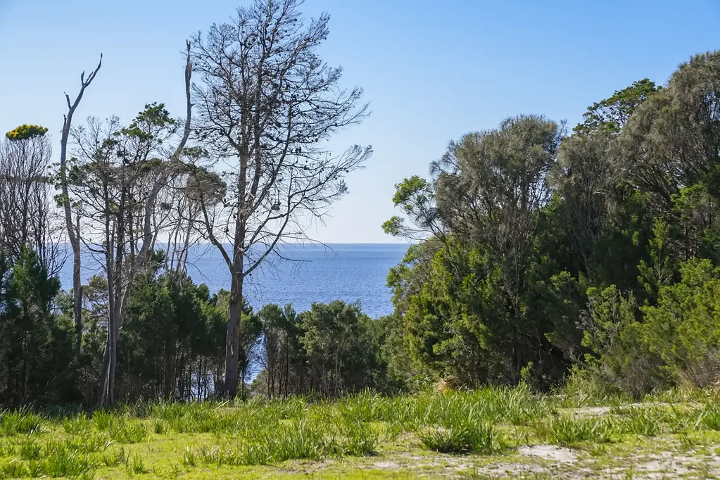 Bicheno Fabulous Foreshore & Future