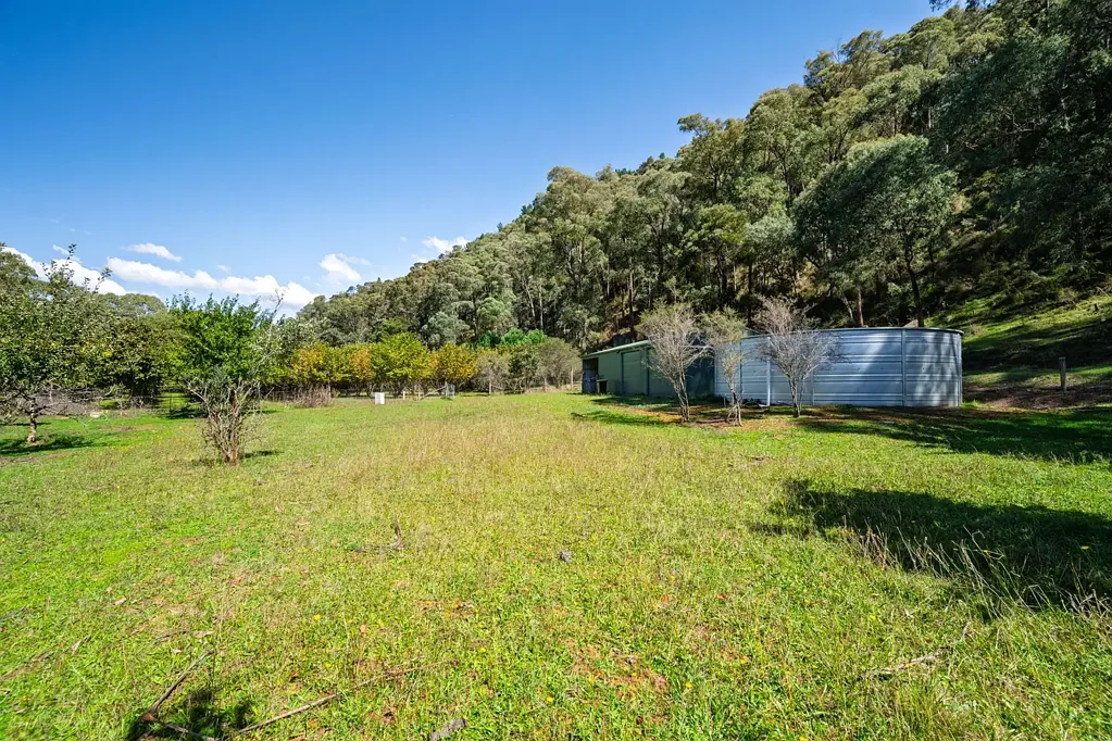 Wandiligong Creekside Lifestyle Block with Income Potential & Endless Adventure