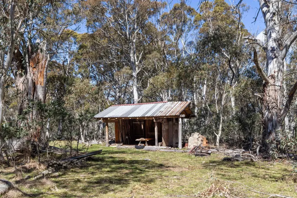Eucumbene  Natural Alpine Bushland