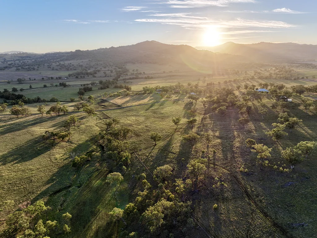 "Runnymead" 142 Borambil Creek Road, Willow Tree, NSW 2339