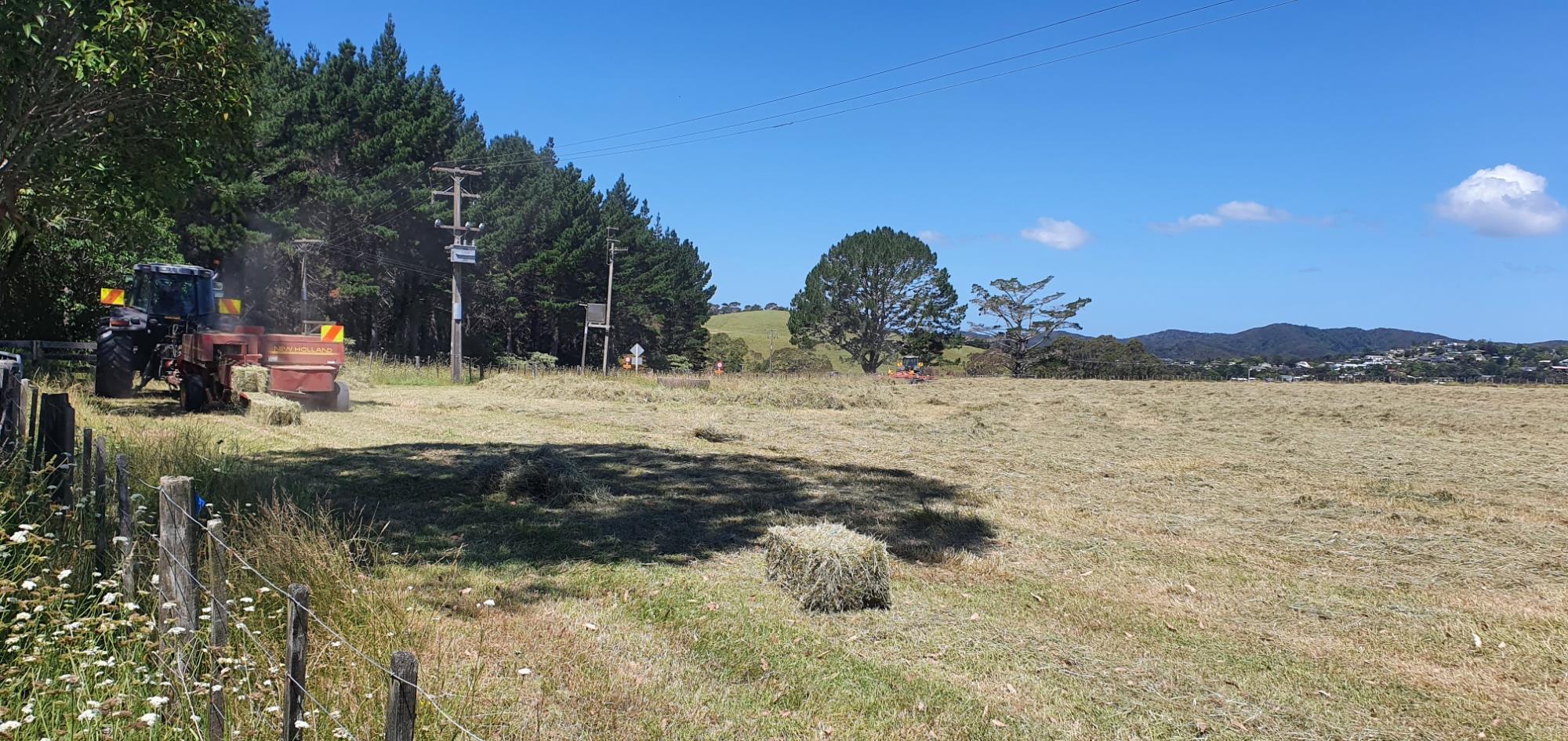 Haruru Falls Road, Haruru, Far North, 0 Kuwarto, 0 Banyo