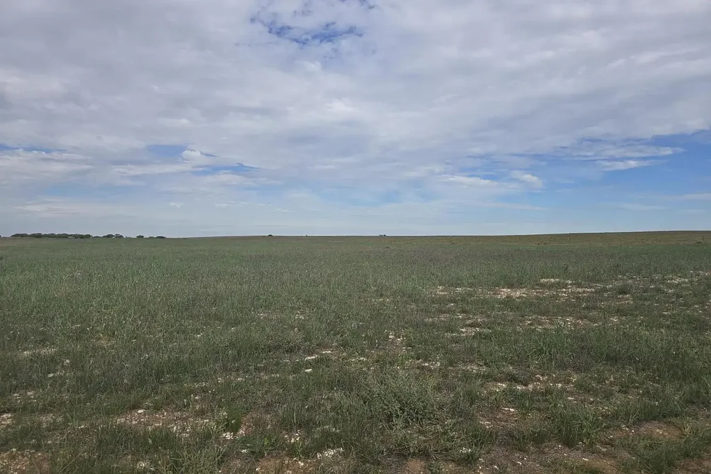 Wynarka Starter Grazing Block