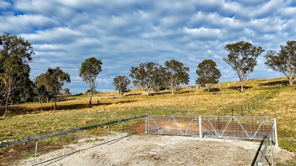 245A Sunnyside Loop Road, Tenterfield, NSW 2372