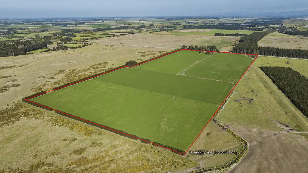 West Melton  28 Hectares - Ideal dairy support/ cut and carry