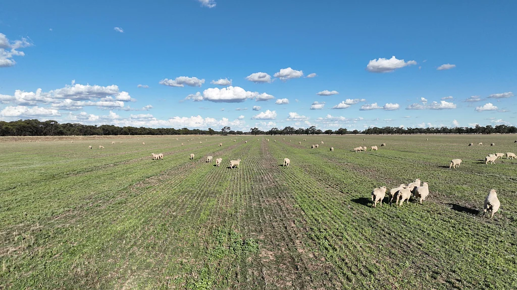 Deniliquin  "Goonwarra" - Turn-Key Development Opportunity