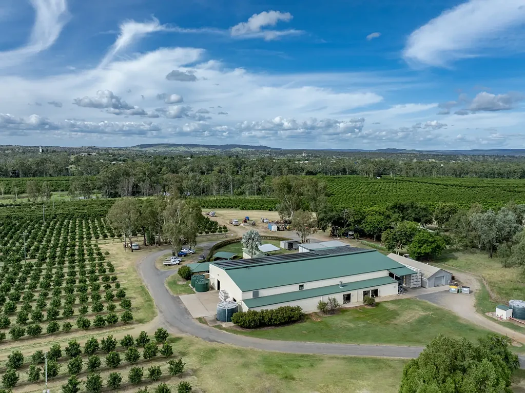 Boynewood MARGRAM MUNDUBBERA ORCHARD — Premium Established Citrus Farm and Business in Queensland's  Citrus Capital.