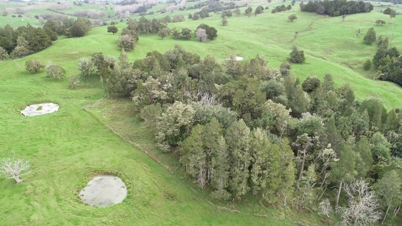 2895 State Highway 1, Umawera, Far North, 0 habitaciones, 1 baños, Grazing