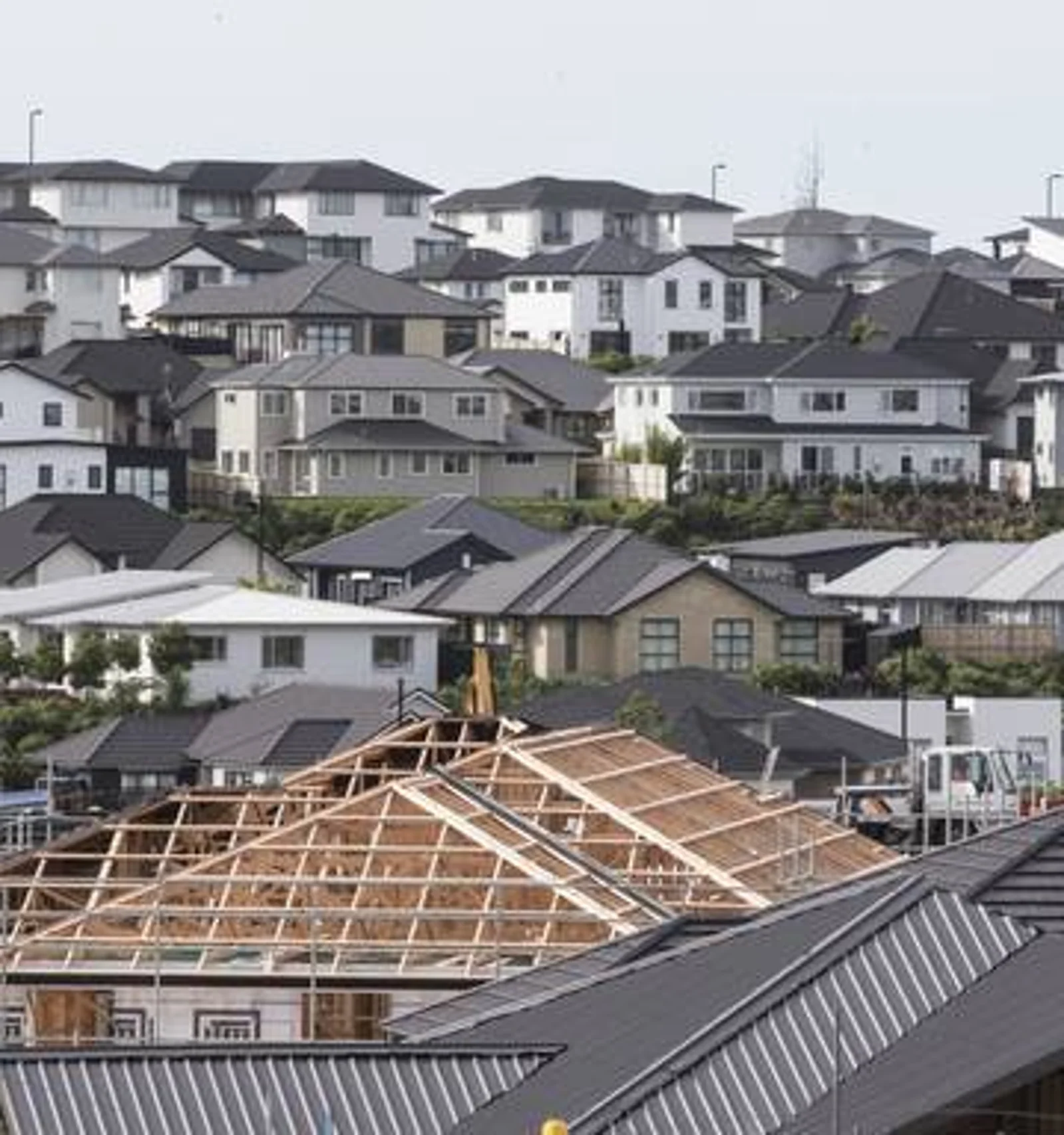 新西兰住房短缺只是一纸谎言?听听这位专家怎么说....