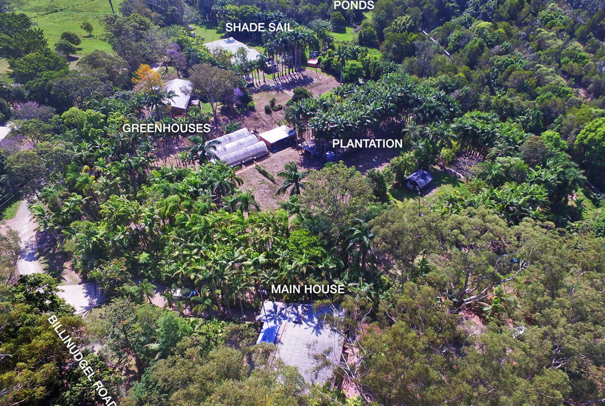 171 BILLINUDGEL RD, BILLINUDGEL NSW 2483, 0 Schlafzimmer, 0 Badezimmer, House