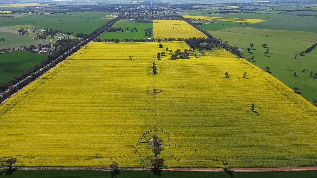 Coolamon Unique 227 Acre Opportunity on Coolamon's Doorstep